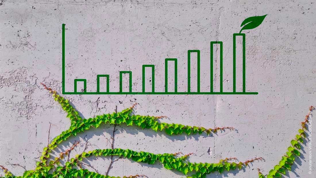 business-chart-on-a-concrete-wall-and-leaves_shutterstock_mit_©_Vitalii_Vodolazskyi_2195069667_1100x620px_230418
