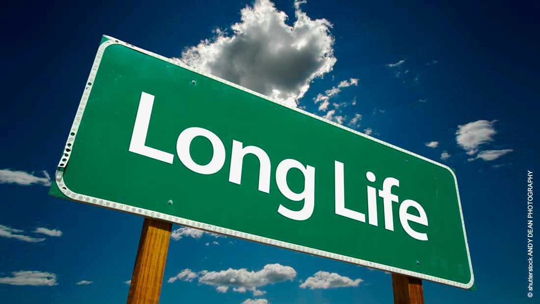 long-life-road-sign_shutterstock_mit_©_Andy_Dean_Photography_5568784_1100x620px_220216