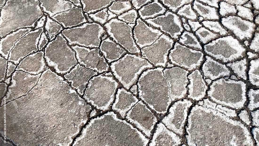cracks-with-snow-making-patterns_shutterstock_mit_©_Makiko_Ishihara_1922446259_1100x620px_220203