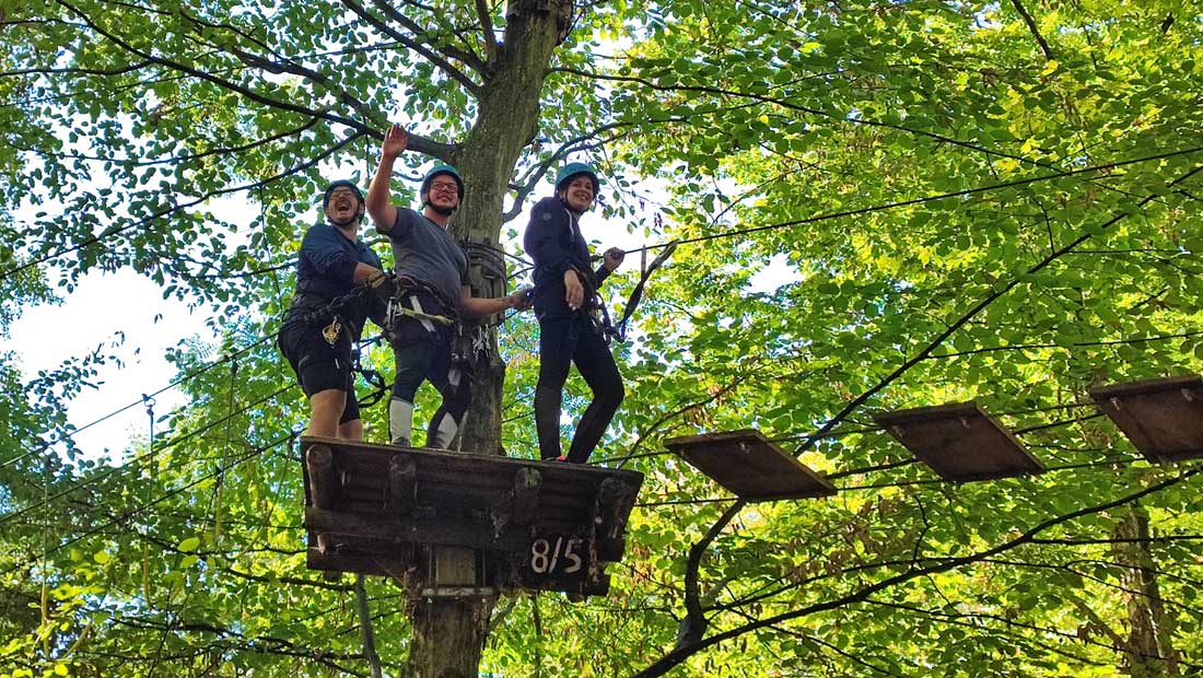 BTE stelcon® Bewegungstag 2022: Kletter-Action im FunForest AbenteuerPark Kandel
